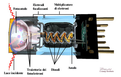 Fotomoltiplicatore img